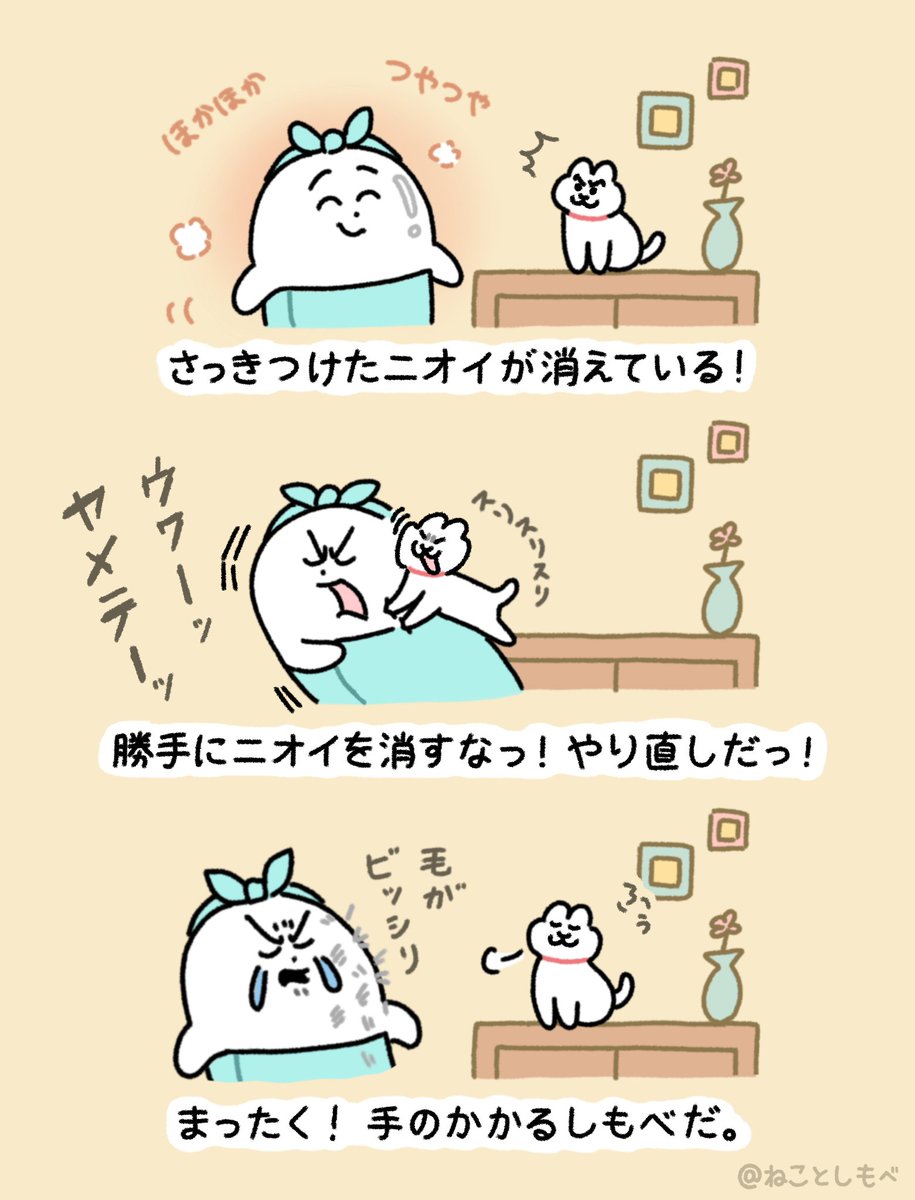 お風呂上がりにスリスリしてくる猫(猫視点) 