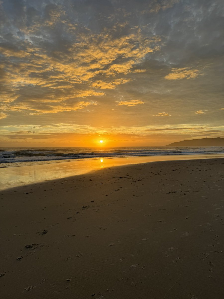 Annie O'Rourke (@founder89oe) on Twitter photo 