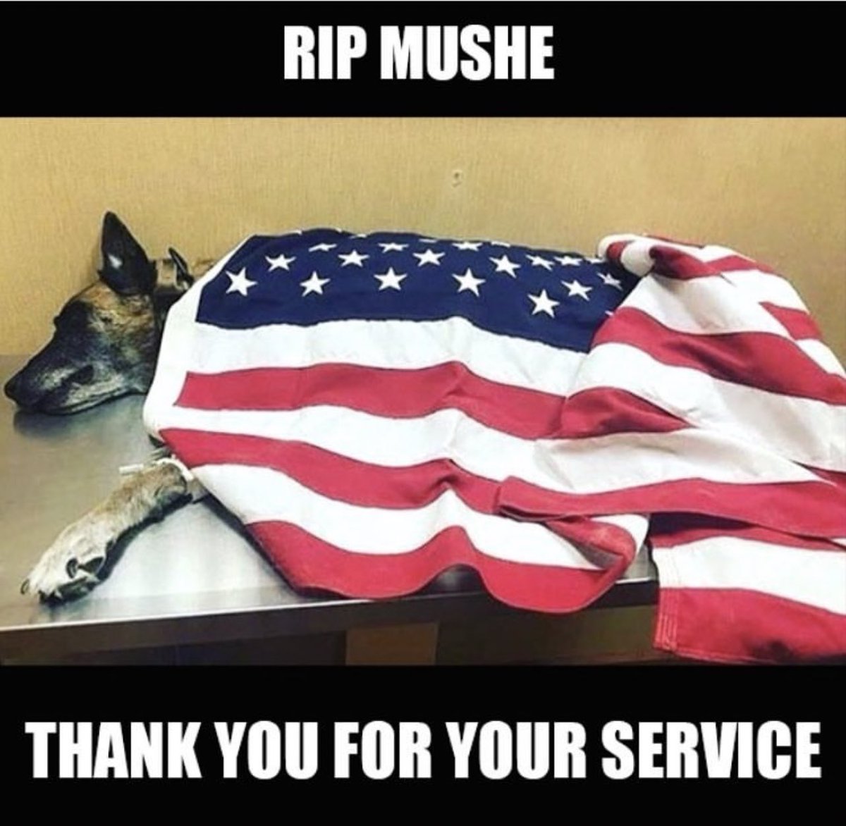 Rest in Peace Mushe