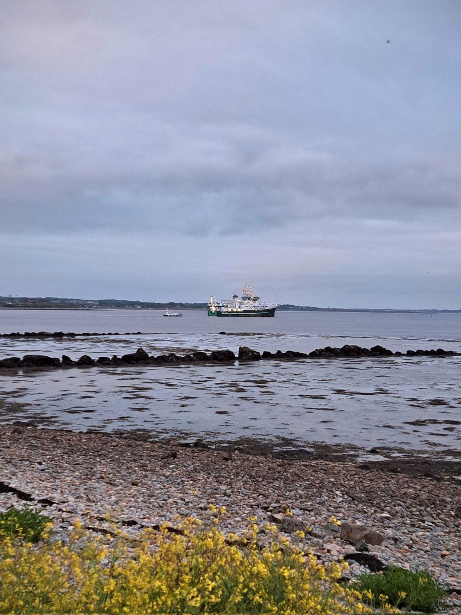 🚢 RV Tom Crean being guided out of Galway harbour this evening to begin the first leg of the Irish Underwater TV Survey to assess Nephrop abundance, Bon Voyage! 🌊