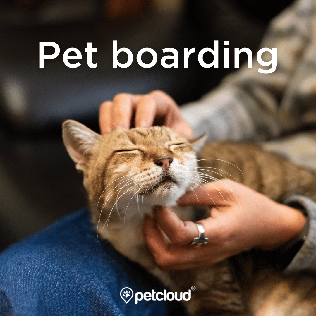 Looking for Pet boarding?  We can help. Whether you are in #Brisbane, #GoldCoast, #SunshineCoast, #ByronBay, #Sydney, #Newcastle, #CentralCoast, #Canberra, #Melbourne, #Hobart, #Adelaide, #Perth, #Darwin or even #AliceSprings
petcloud.com.au/pet-boarding