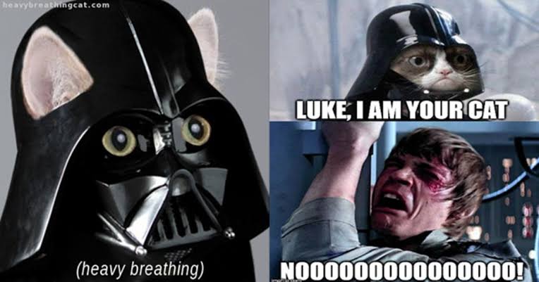 CryptoXSennin's tweet photo. #Darthcat
Why is this so funny?
https://t.co/aw4rfBxw39
#degen #memecoin #solana #starwars #cats @starwarstufff @starwars @StarWarsNewsNet @StarWarsOutlaws @1goonrich https://t.co/vaJObJOFp9