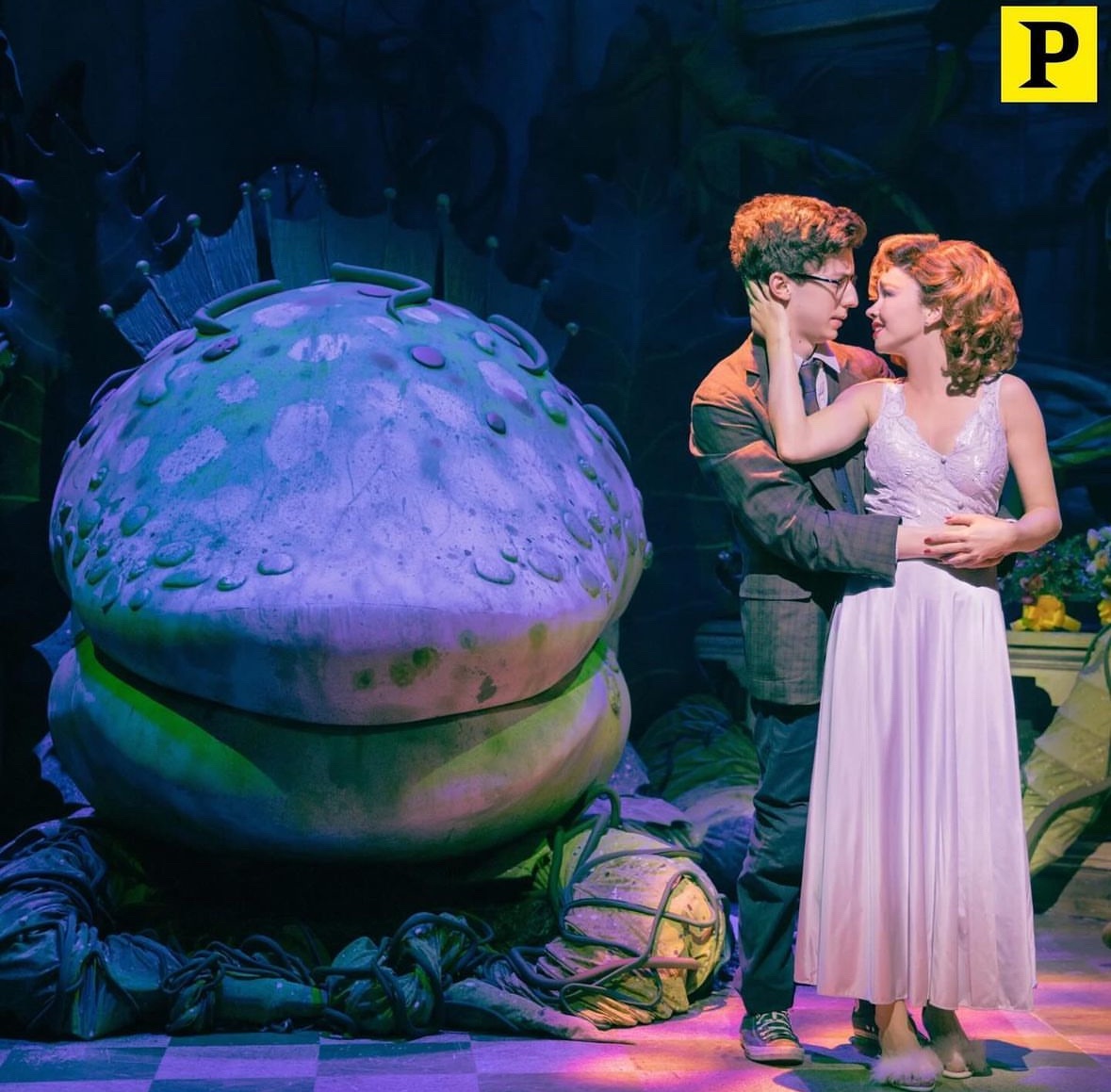 bobbystivic's tweet image. wake up babe , andrew barth feldman and sarah hyland little shop pictures just dropped