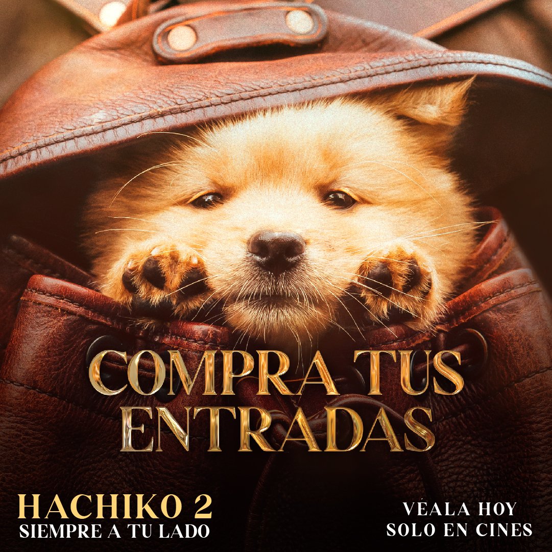 StarfilmsP's tweet photo. Prepárate para una montaña rusa de emociones con 𝗛𝗔𝗖𝗛𝗜𝗞𝗢 𝟮: 𝗦𝗜𝗘𝗠𝗣𝗥𝗘 𝗔 𝗧𝗨 𝗟𝗔𝗗𝗢 🐶❤️ ¡Compra tus entradas y no olvides los pañuelos! https://t.co/D5iRujm8TT