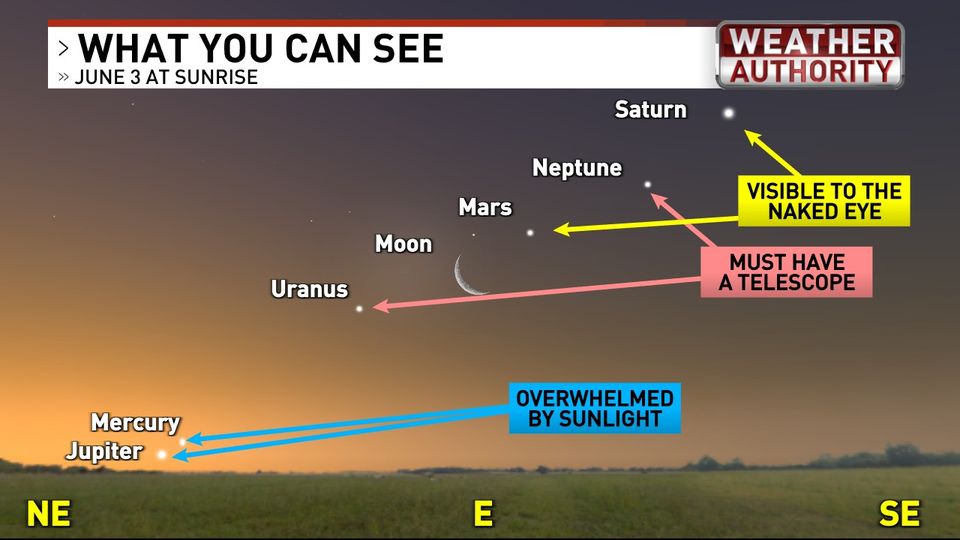 I know where i will be on June 3rd and it wont be standing in the garden at 4am! 😴😴😴