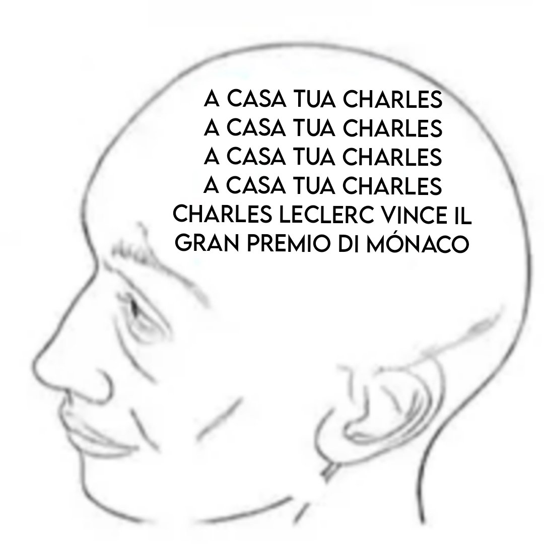 TinoCLeclerc's tweet photo. "En que pensas que estás tan callado, te pasó algo?" 

En lo que pienso: https://t.co/6lw0Sm1u1t