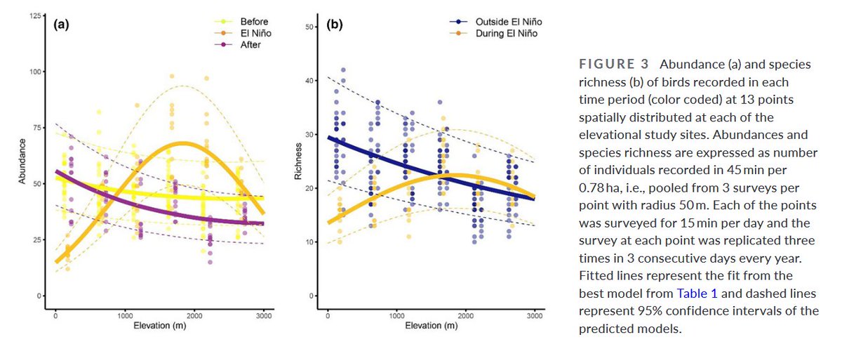 CzSam00's tweet photo. As the El Niño of 2023–24 weakens, we brought out the publication about the effect of very strong El Niño 2015 on terrestrial birds: https://t.co/X3xIe9sFzF https://t.co/afhgcCjOH9