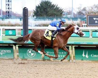 Big words from trainer Brad Cox on Highland Falls: 'We think very highly of this colt and hope he can establish himself as one of the top older horses in the country.' The 4-year-old son of Curlin runs in Saturday's G3 Blame at Churchill. 📷 Coady Photo buff.ly/455BrYt