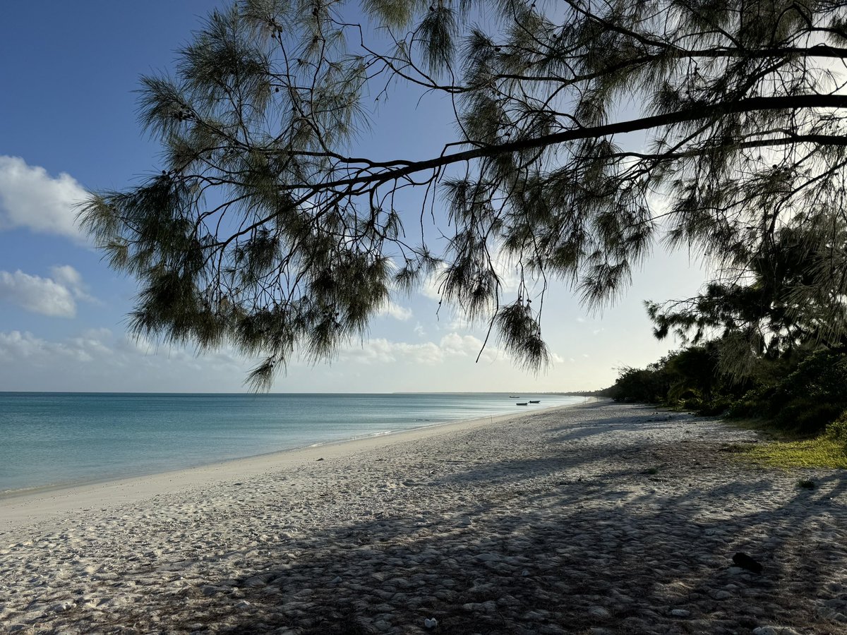 En attendant la réunion après vacances❣️Iaai motu❣️