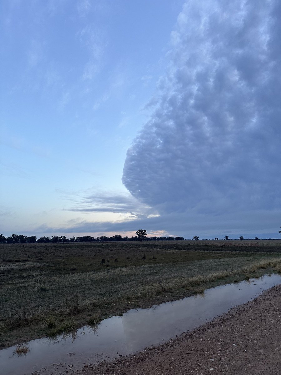 Roy Hamilton tweet media