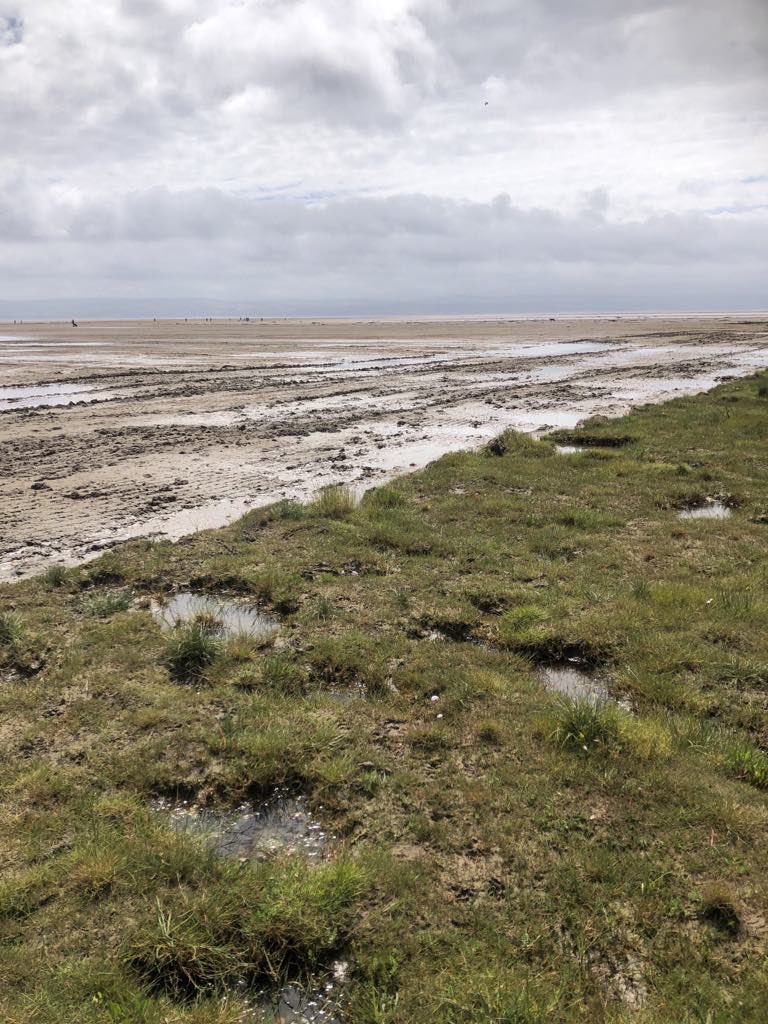 Joshua Styles tweet media