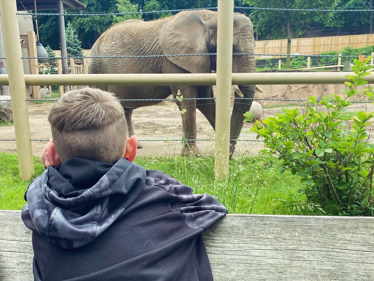 RCSD School #34 tweet media