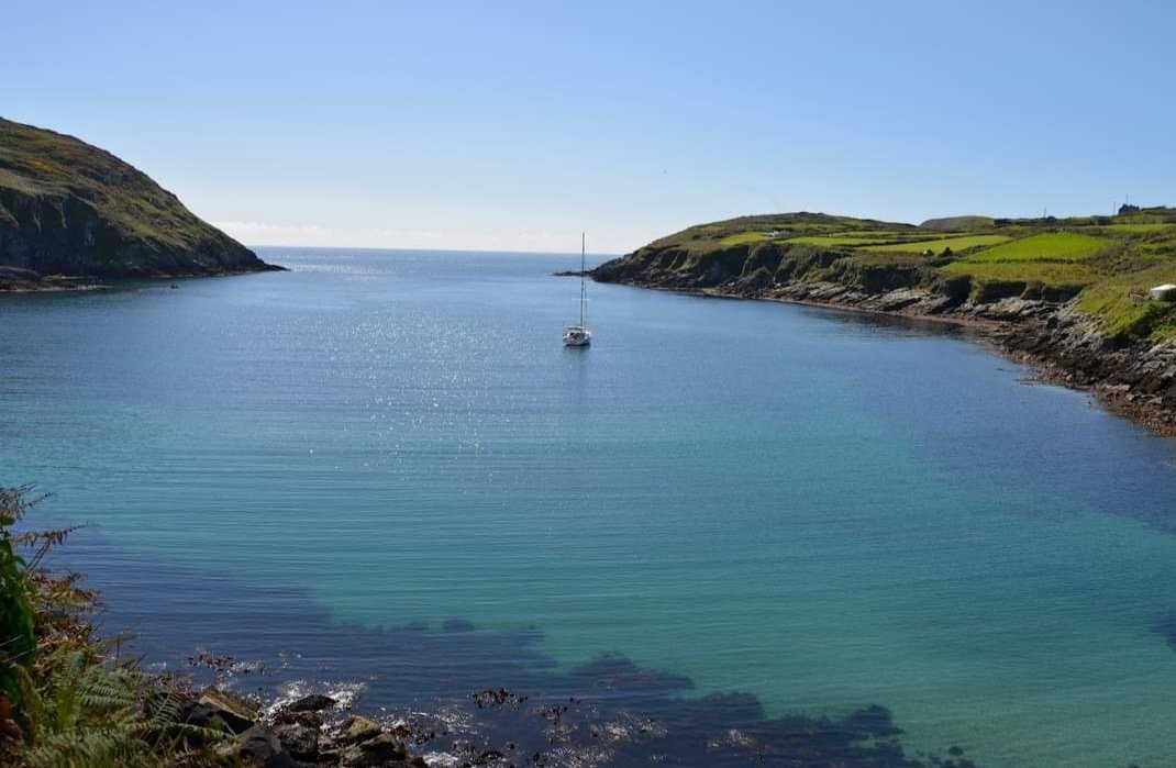 Cape Clear Storytelling tweet media