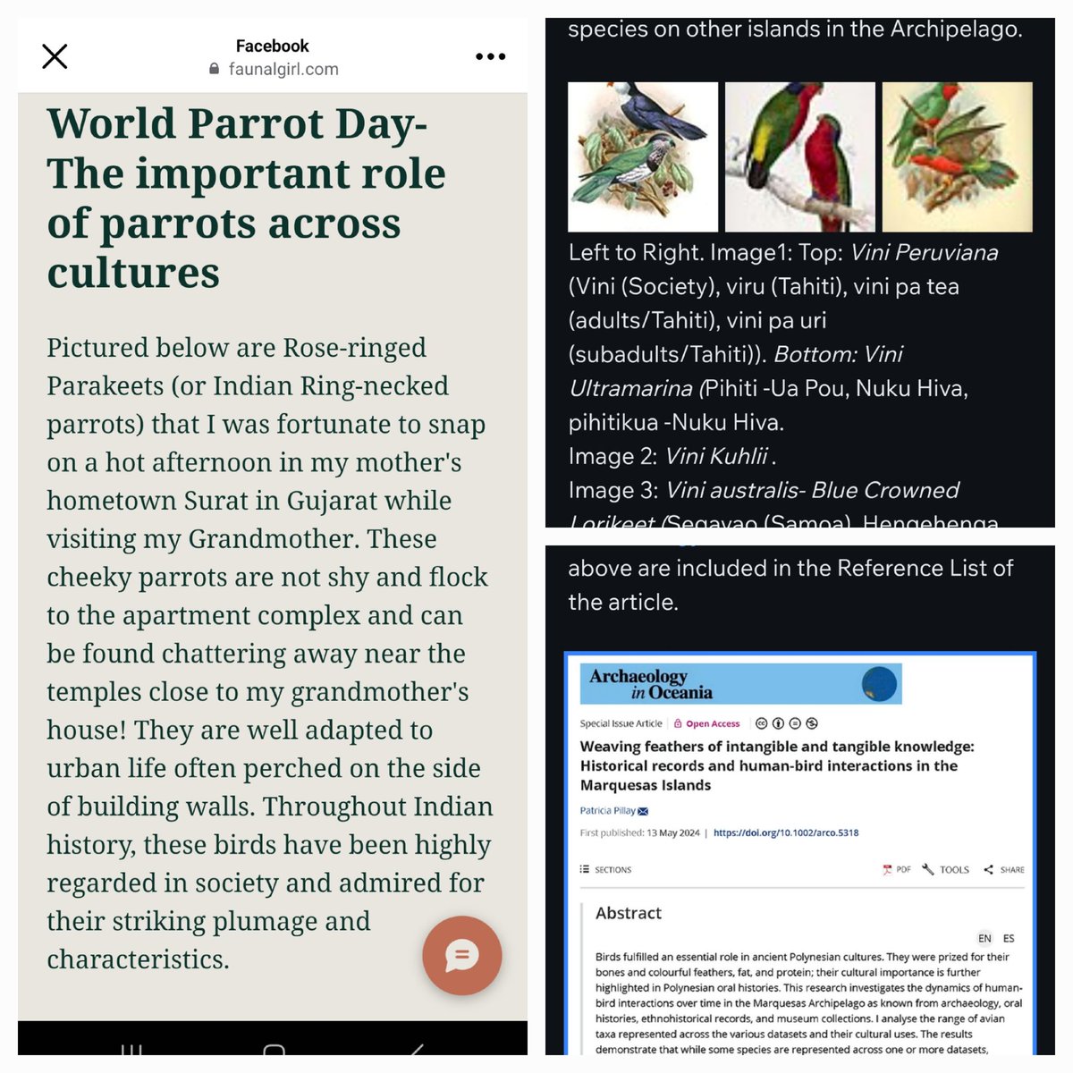 Patricia Pillay tweet media