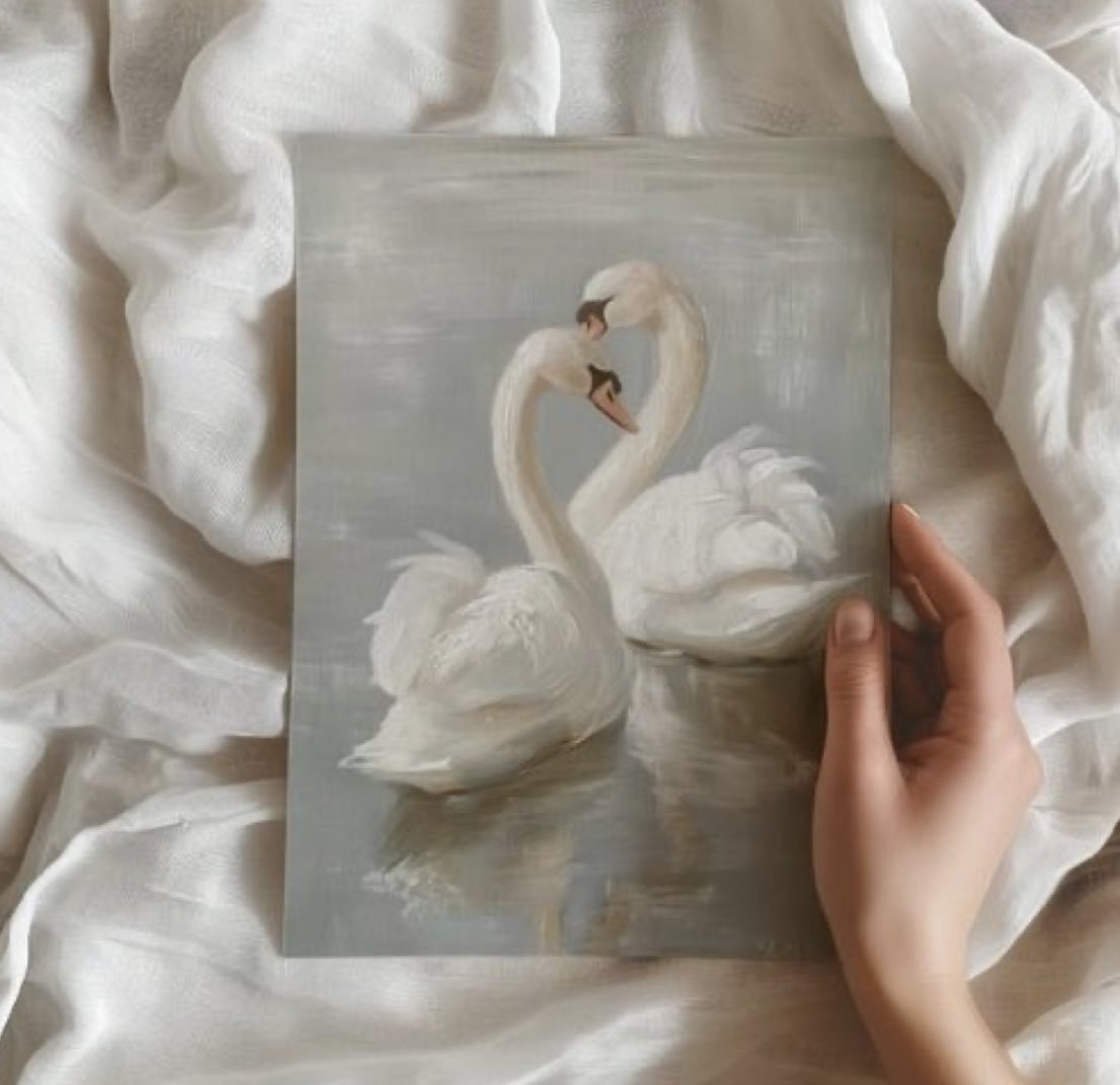 My new love of swans