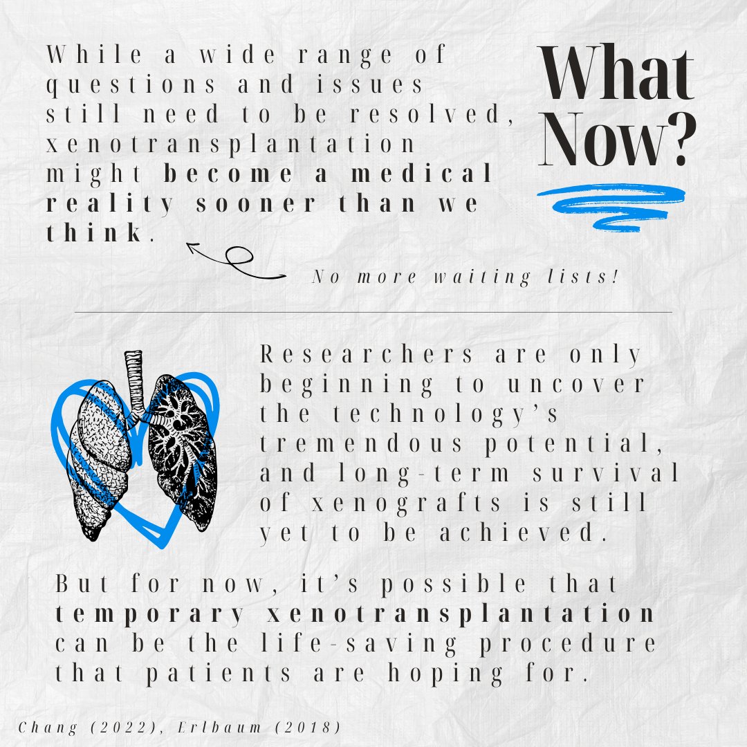 The EQUITY Research Lab tweet media