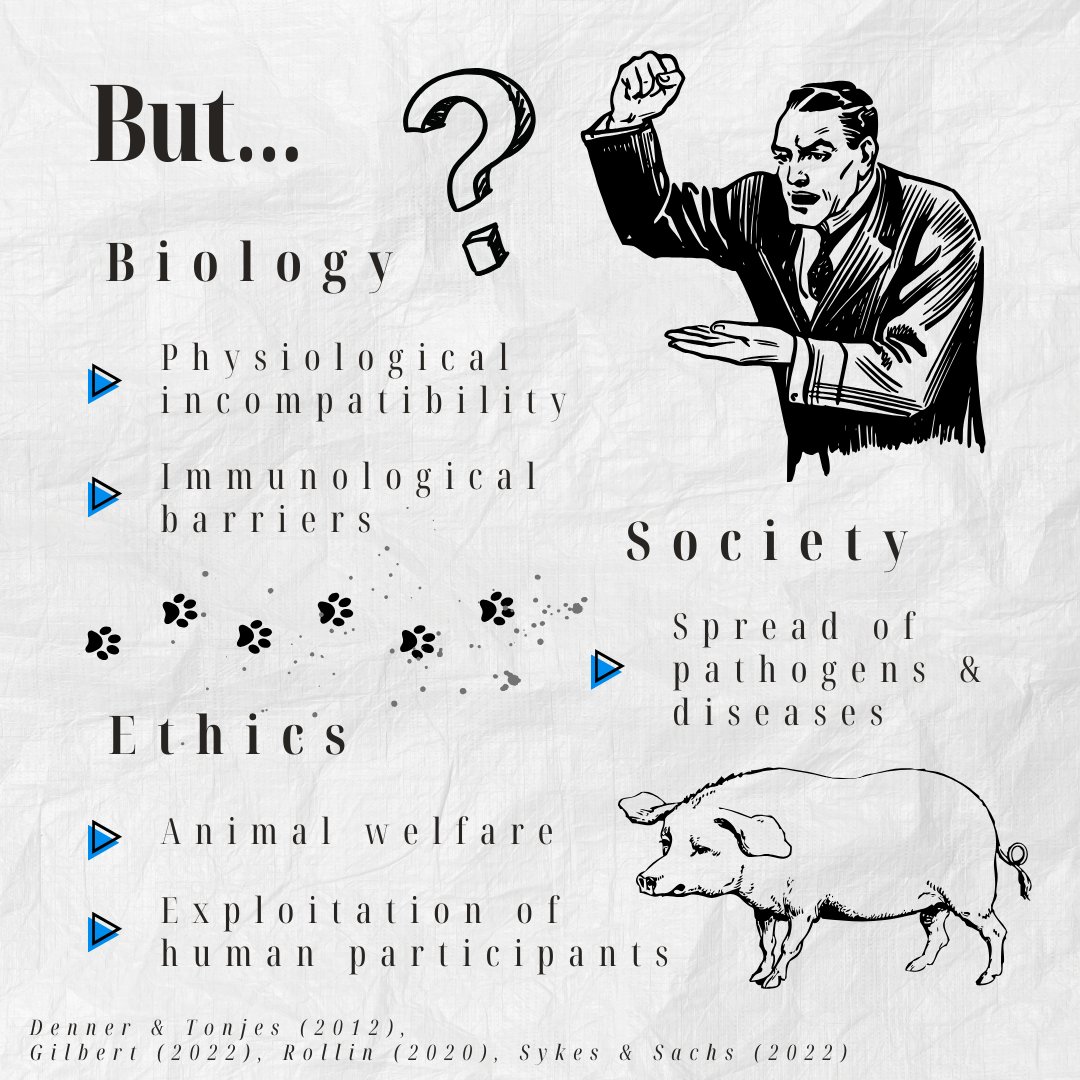 The EQUITY Research Lab tweet media
