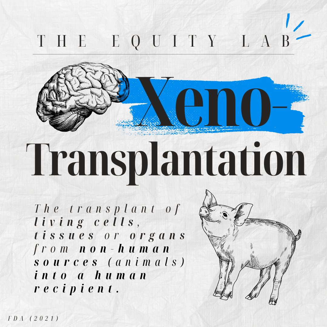 The EQUITY Research Lab tweet media