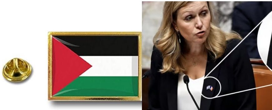 Plutôt que d'exclure Yaël Braun Pivet 15 jours, je propose à tous les députés soutenant la cause palestinienne, d'arborer dans l'hémicycle, à l'instar de leur présidente avec celui d’Israël, le pin's aux couleurs de la Palestine. Le règlement de l'AN semble l'autoriser.