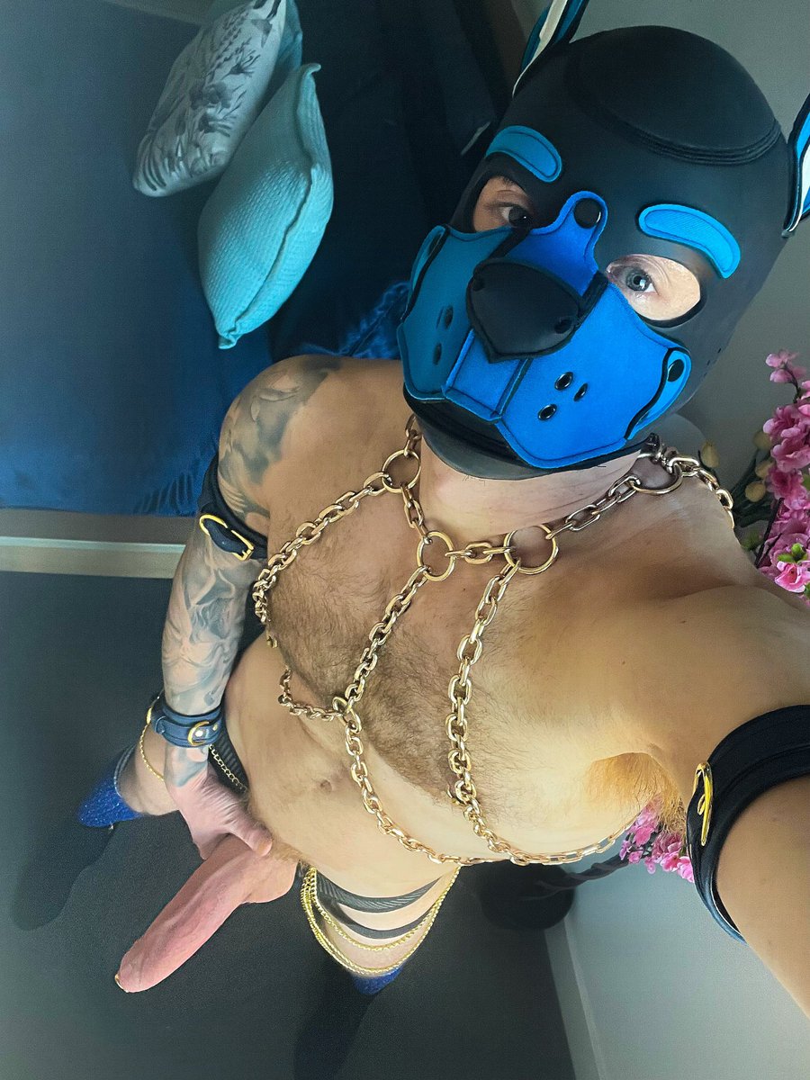 𝗣 𝗨 𝗣 𝗣 𝗘 𝗔 𝗥 𝗖 𝗘 tweet media