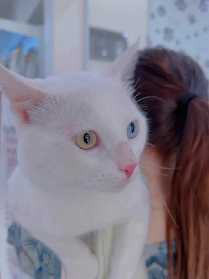 Hello from my cutie 😊