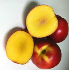 EretzIsrael's tweet photo. FRUITS & VEGETABLES
DEVELOPED IN ISRAEL ®️
Ben Dor Fruits & Nurseries mango nectarin is a heart-shaped mango that peels smoothly. The fruit took 10 years to perfect and left the market from Israel to the United Kingdom and South Africa in 2012. #BDSFails #Israel https://t.co/XzjeSwdU8v