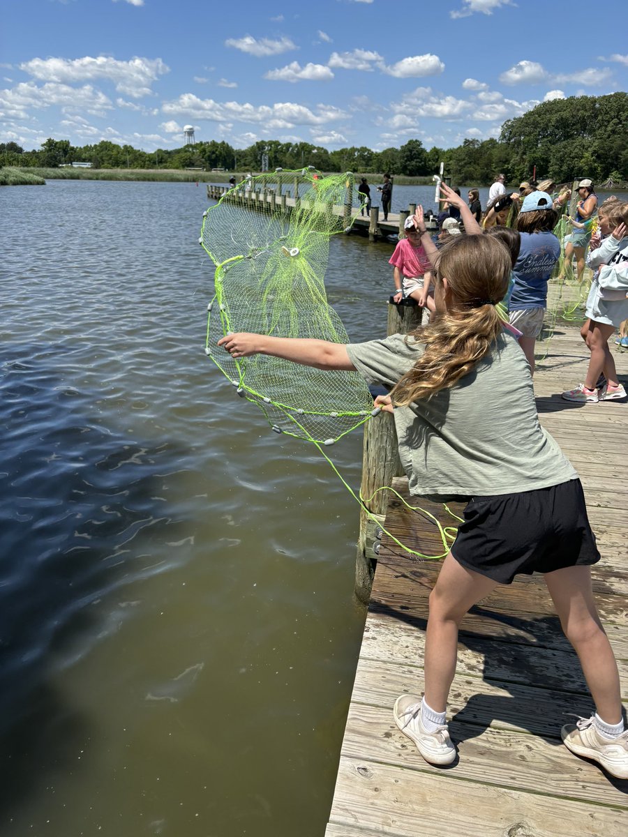 Jane Martin tweet media