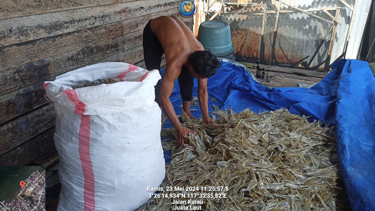 arioam17's tweet photo. Kamis (23/05), Ario Anggara M, Luhkan Tarakan, di POKLAHSAR Nuansa Indah, Kel. Juata Laut, melaporkan hasil produksi olahan Ikan Kering Tipis 56Kg dan Ikan Asin Gulamah 15Kg Harga Rp120/Kg dan Rp40/Kg
#GiatLuhkanSatminkalBPPPBitung #PusLuh #BPPPBitung #Tarakan #Pengolahan https://t.co/c9N1m8fav8