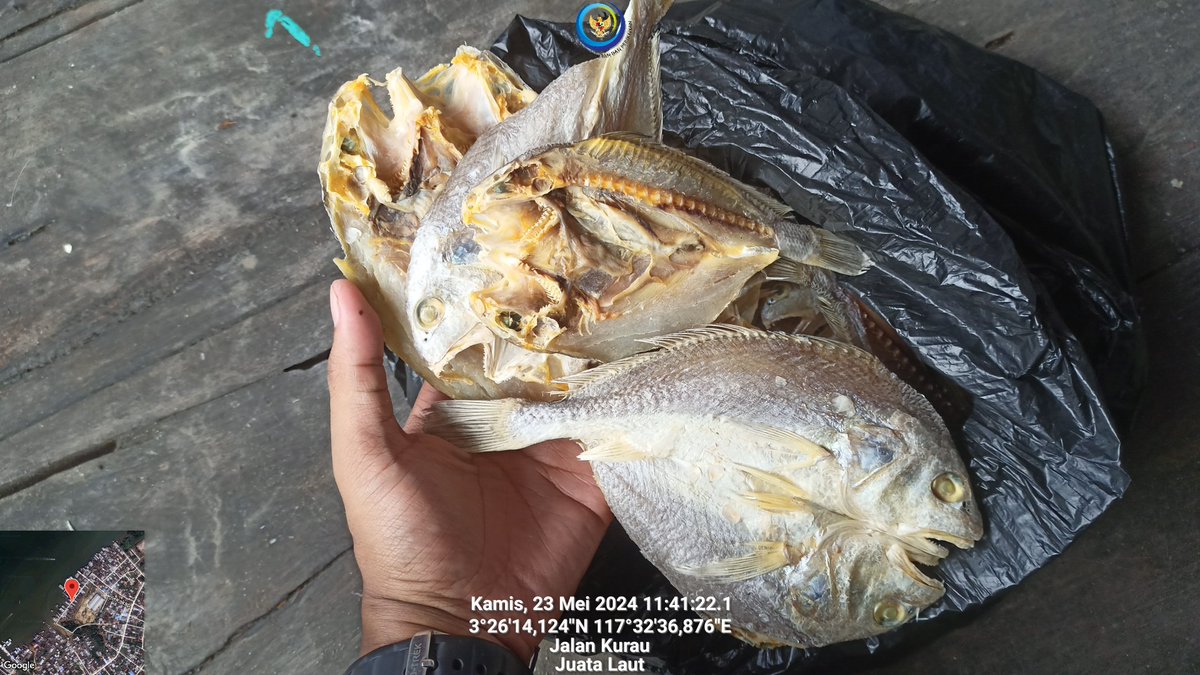 arioam17's tweet photo. Kamis (23/05), Ario Anggara M, Luhkan Tarakan, di POKLAHSAR Nuansa Indah, Kel. Juata Laut, melaporkan hasil produksi olahan Ikan Kering Tipis 56Kg dan Ikan Asin Gulamah 15Kg Harga Rp120/Kg dan Rp40/Kg
#GiatLuhkanSatminkalBPPPBitung #PusLuh #BPPPBitung #Tarakan #Pengolahan https://t.co/c9N1m8fav8