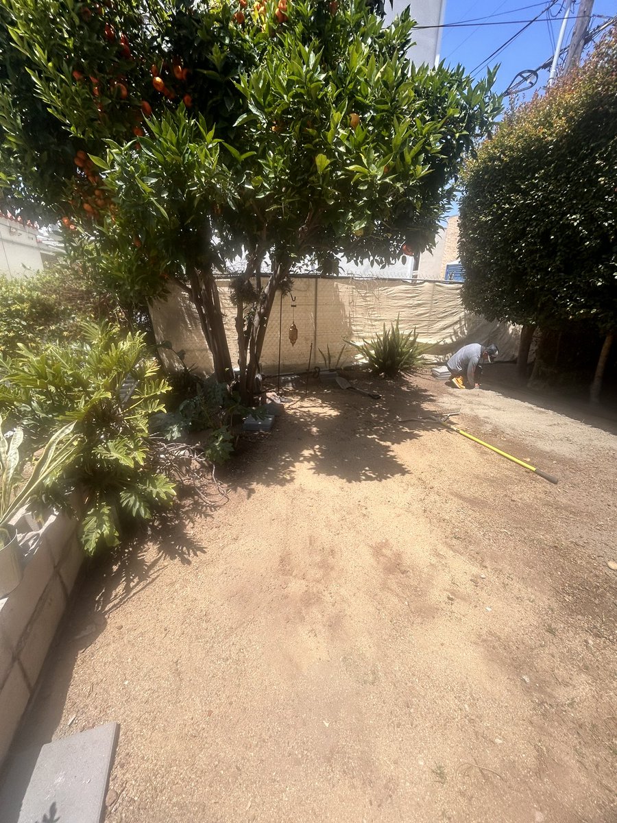 jonnyplants's tweet photo. Stay tuned and sign up to CJS landscape solutions YouTube channel to see the finish project tomorrow #cjslandscapesolutions.com https://t.co/3U69ttPKfJ #pavers #masonry #landscapesolutions https://t.co/eumVTj3Q2B
