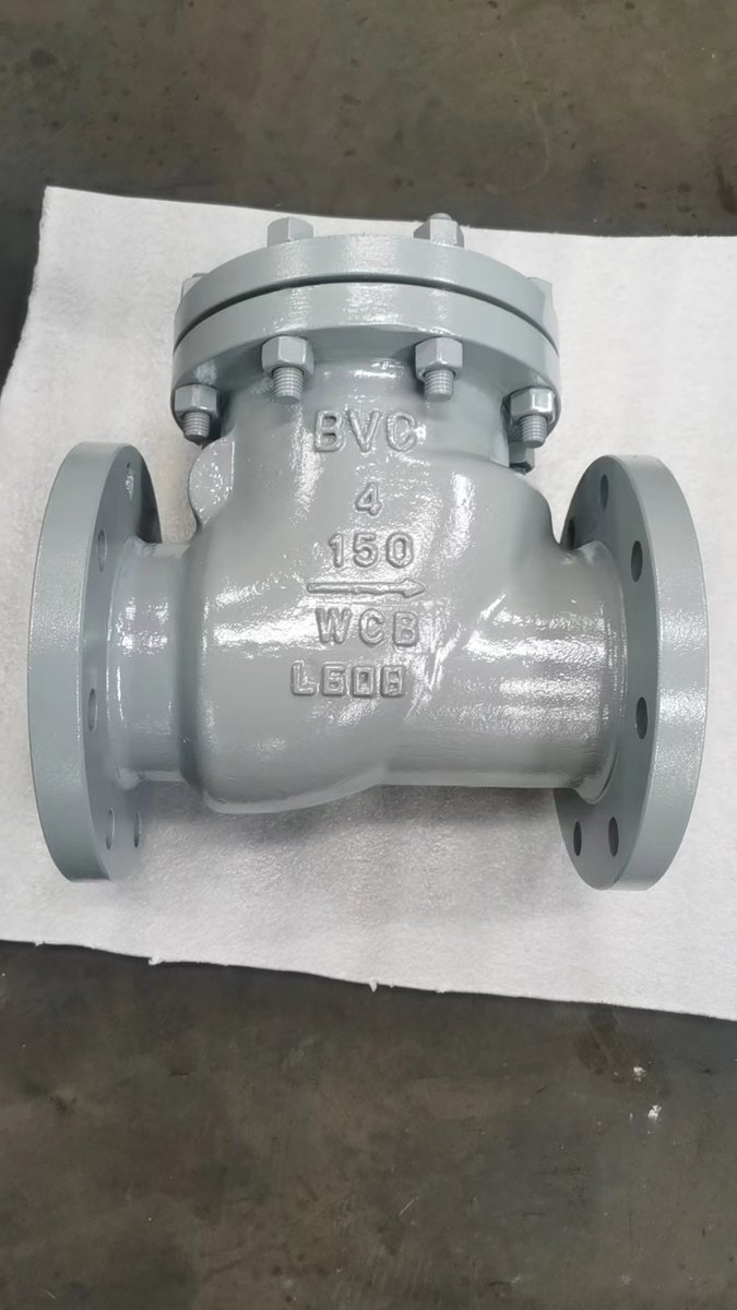 Jessica09092234's tweet image. #API6D Check Valve