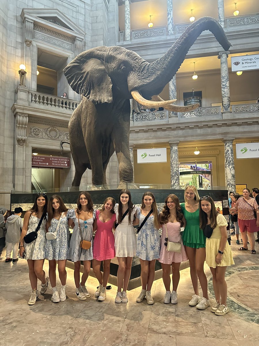 Ms_Lencsak's tweet photo. Started Day 2 in DC exploring museums and monuments @Warrior_News #LSDC24 https://t.co/4BN7516eob