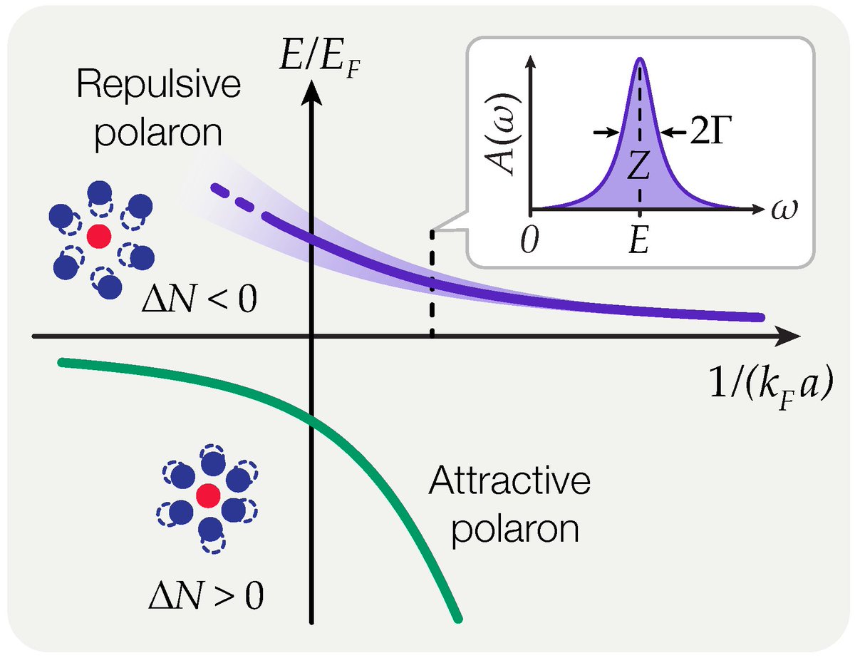 Atoms_MDPI's tweet image. #mdpiAtoms #Highlycited #EditorsChoice

💥🔥Repulsive #Fermi and #BosePolarons in #QuantumGases #by Francesco Scazza, Matteo Zaccanti, Pietro Massignan, Meera M. Parish and Jesper Levinsen

📢🔗mdpi.com/2218-2004/10/2…