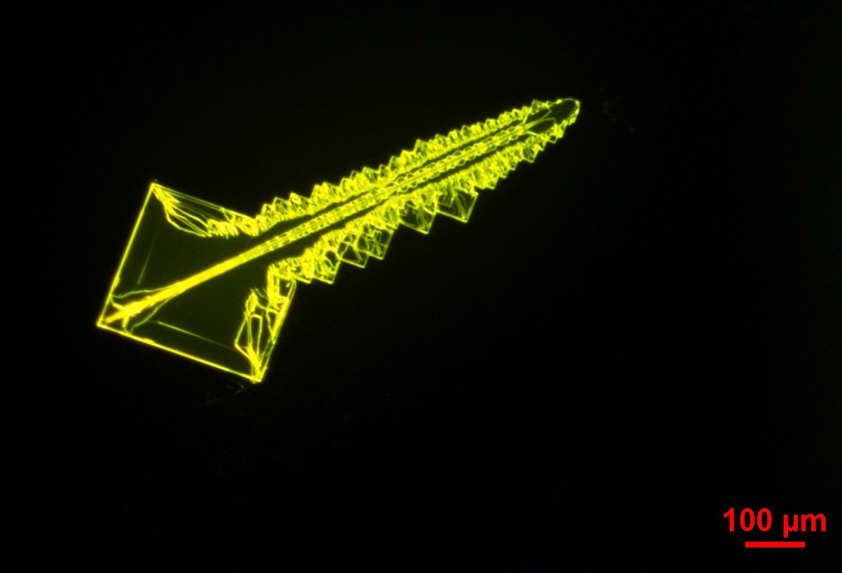 British Association for Crystal Growth (@bacg_) on Twitter photo There is still time to submit your crystal pictures for the Crystals in Art competition of the BACG2024 and win an award!
Crystals of Perylene from last years competition, with a rather unique appearance like a key. <a href="/BACG_/">British Association for Crystal Growth</a> There is still time to submit your crystal pictures for the Crystals in Art competition of the BACG2024 and win an award!
Crystals of Perylene from last years competition, with a rather unique appearance like a key. <a href="/BACG_/">British Association for Crystal Growth</a>
