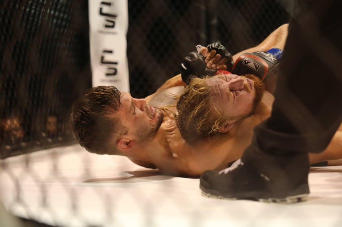 some pics of me kicking ass https://t.co/vmWGJtRy8s