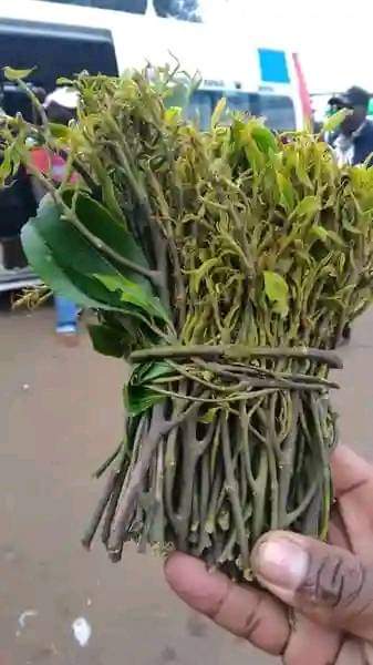 MikeSonko's tweet image. Inaitwa Kathanga. Handas Original. Ukichana hii unaamsha kila mtu kwenu utoe hotuba.