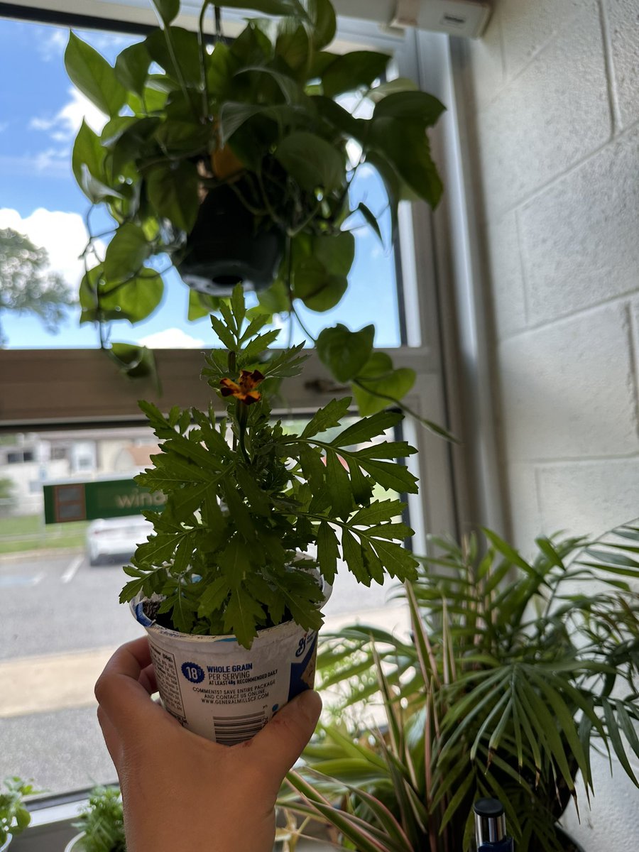 Teacher.P tweet media