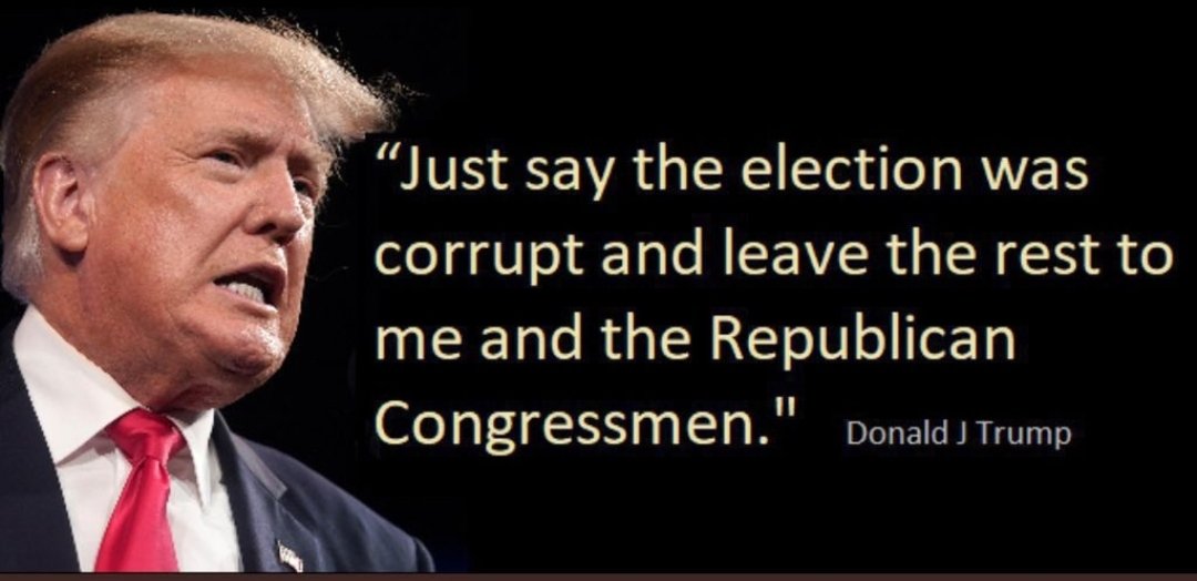 🇺🇸🇺🇦🌻 Democracy Fan tweet media