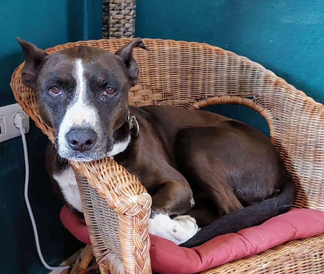 Stefan Reifenrath (@rcrasselbande) on Twitter photo 