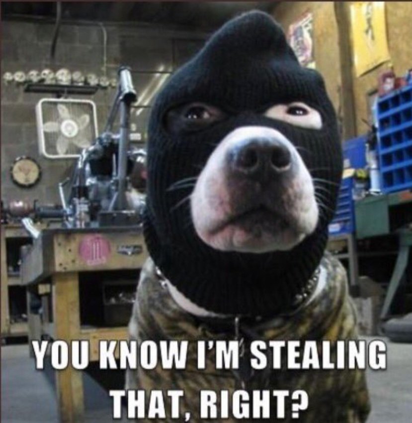 🎃 Ron May 🦉 tweet media