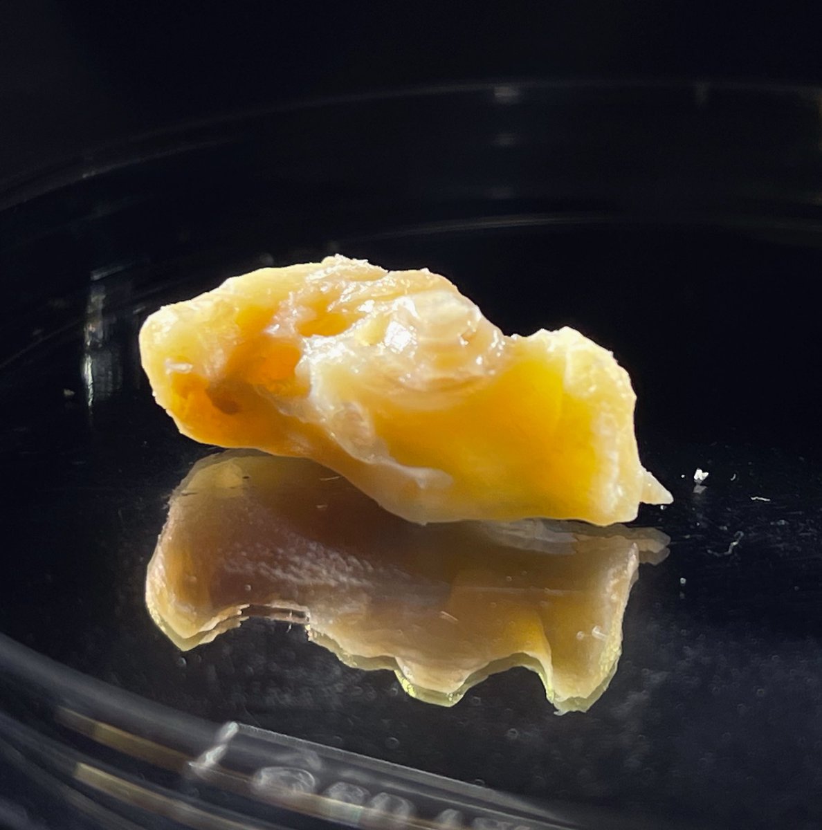 To each their own diamond, mine is the otic capsule buried within the temporal bone. Like a miner we must dig to see it, like a jeweler we learn how to sculpt it to bring out the best 💎