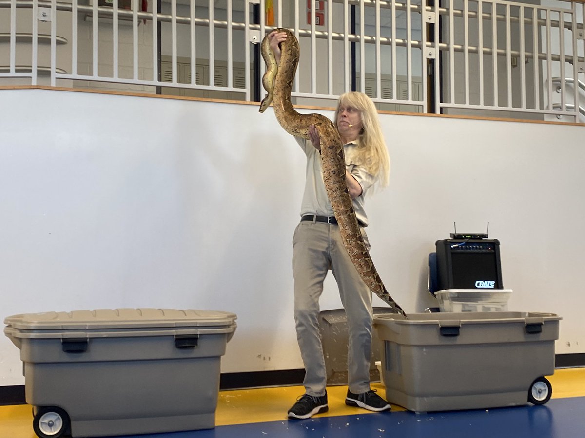 MrsThornsWorld's tweet image. Exciting day today with The Lizard Guy and some new reptilian pals! 🐸 🐍 🦎 🐢 #MrsThornsRoseGarden #NBTeamPreschool #NBTECCisRedHot @NBTECC @mrpassner @SwimCoach24