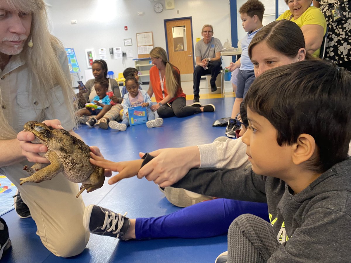 MrsThornsWorld's tweet image. Exciting day today with The Lizard Guy and some new reptilian pals! 🐸 🐍 🦎 🐢 #MrsThornsRoseGarden #NBTeamPreschool #NBTECCisRedHot @NBTECC @mrpassner @SwimCoach24