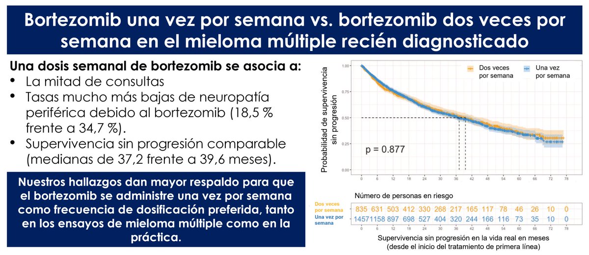 ¡Muy orgulloso de @fredhutch para traducirlo al español! Summary of our @BloodCancerJnl piece around bortezomib in myeloma - @GKaurMD & @VincentRK are mentioned too 🙏 “Tanto en los ensayos como en la práctica” … my vision statement for #MMsm care! fredhutch.org/en/news/spotli…