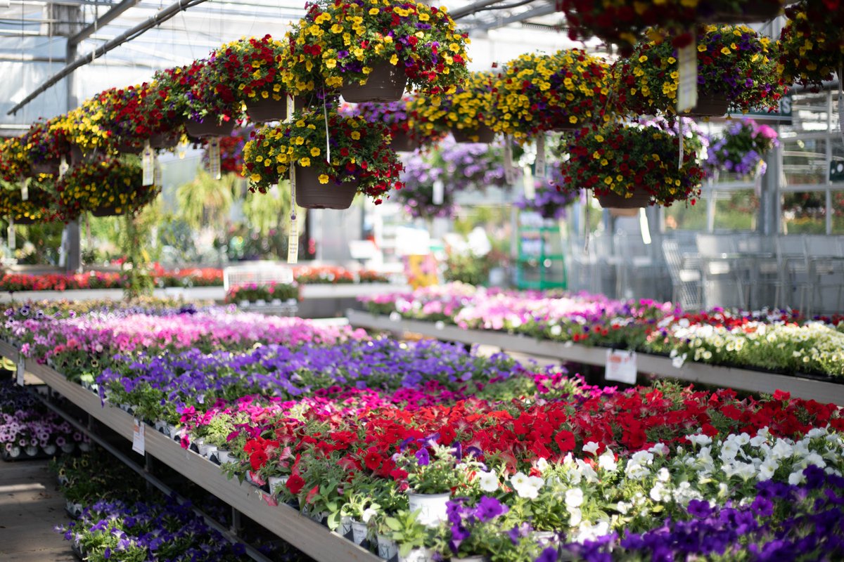 "Life's A Garden, Dig It" - Joe Dirt 🤘🌸

#garden #flowers #blooms #plants #lifesagardendiggit #joedirt #grow #nursery #greenhouse #gardencenter #bestofeveryseason #alsipnursery