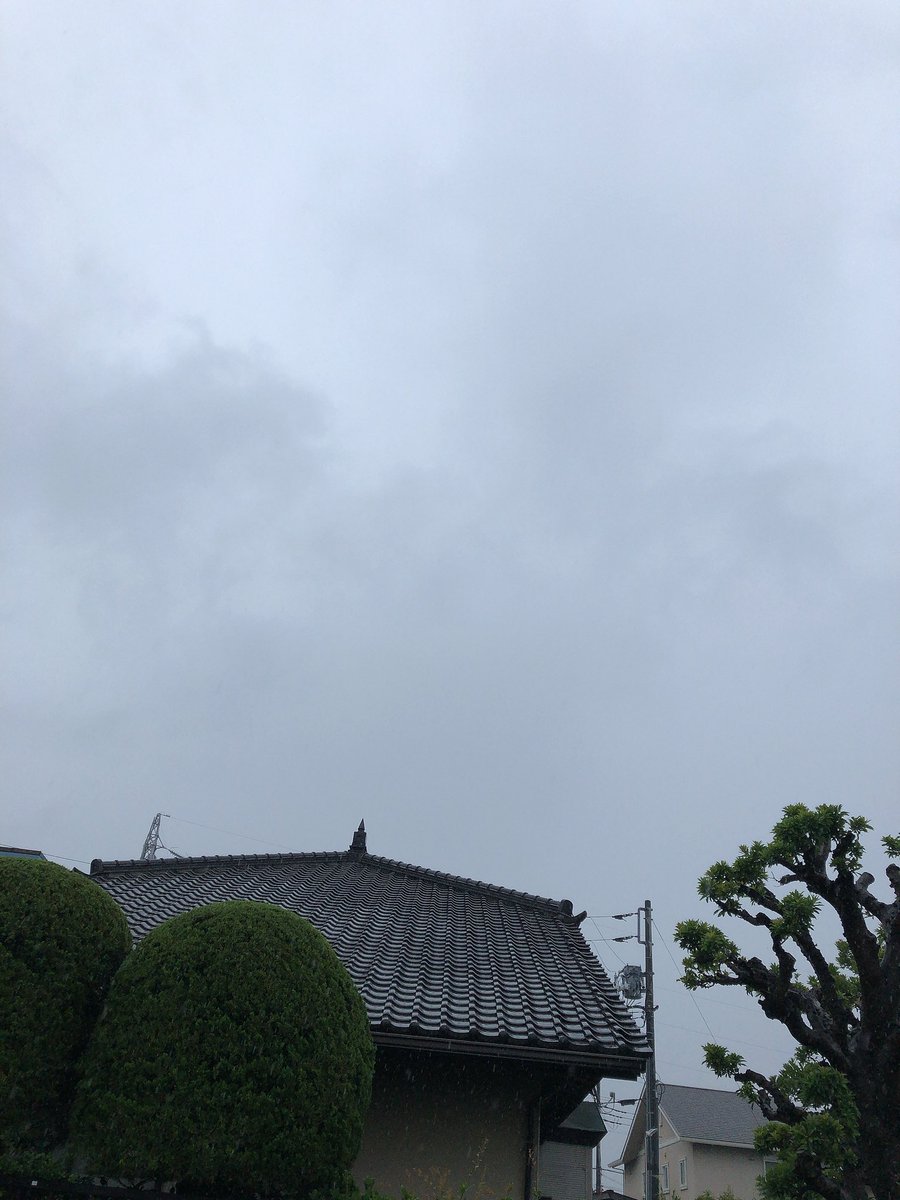akemin1023's tweet photo. けっこう降ってる☔️💦
#いまそら #イマソラ https://t.co/tcKpQHiLhy
