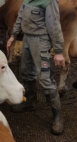 landwirt99 tweet media