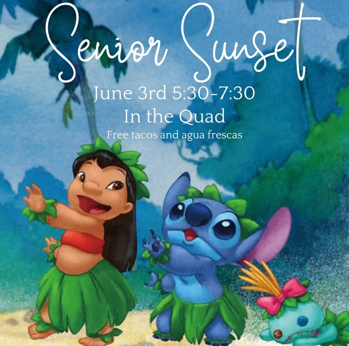 Miss Bernie tweet media