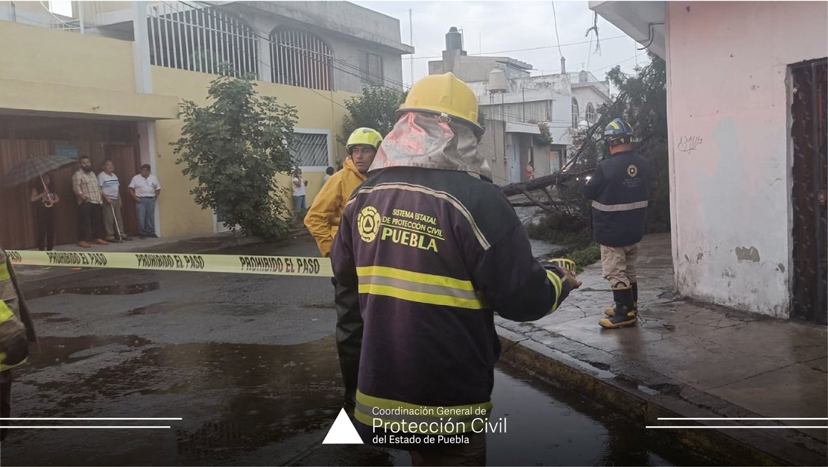 Debido a las lluvias y la caída de granizo en la capital poblana, se informa que personal de esta Coordinación, junto con la @CFEmx y Protección Civil municipal, se encuentra atendiendo la caída de un árbol en la calle 56 Poniente y 23 Norte, realizando acciones de mitigación de