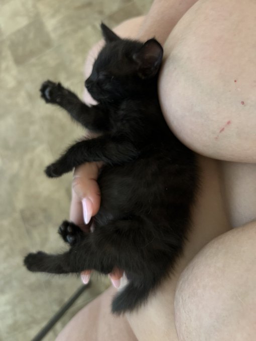 Sleeping beauty https://t.co/2VydisUTFd<a href="/tag/mvsales"class="tags"><span>#mvsales</span></a>